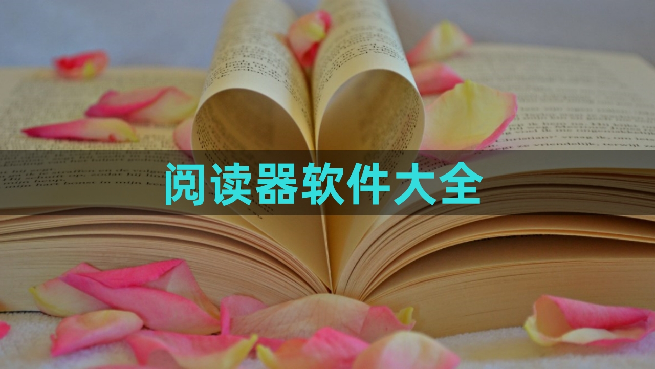 阅读器