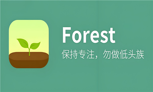 forest